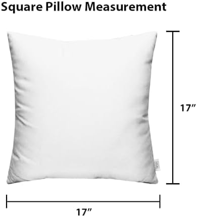 RSH DECOR Square Throw Pillows Set of 2, 17x17 Inch Decorative Pillows for Co...