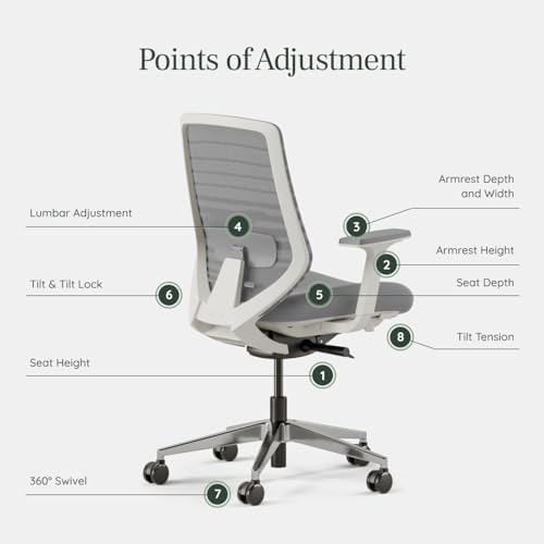 Branch Ergonomic Chair, Versatile Desk Chair with Adjustable Lumbar Support