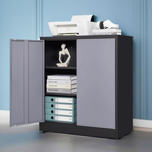 Letaya Metal Storage Cabinets with Lock Door,2 Adjustable Shelves Organizer S...