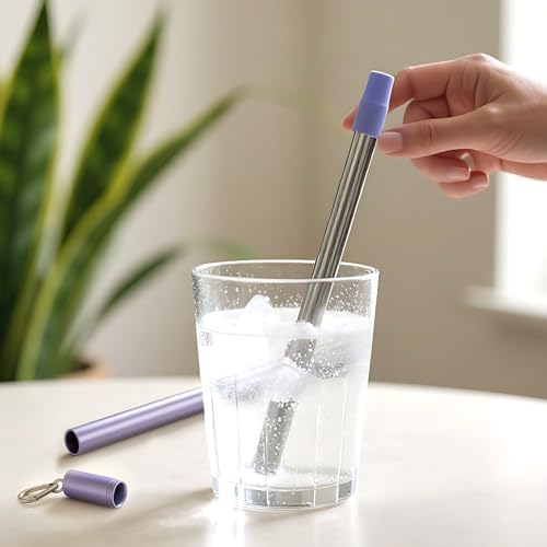 Sursip Stainless Steel Water Filter Straws