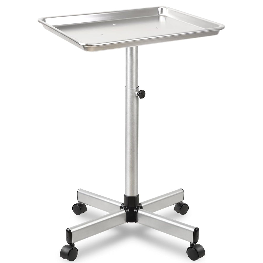 Salon Señor Salon Tray Cart,TattooTray on Wheels,Hair Color Tray,Silver