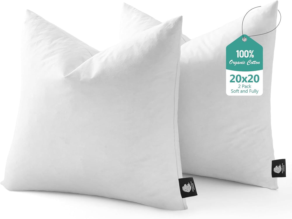 BPC Luxury Feather Down 20x20 Pillow Inserts Set of 2, Soft Fluffy Throw Pill...