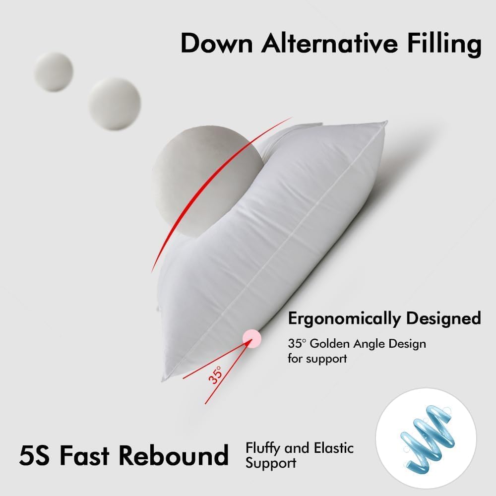 MIULEE 24x24 Pillow Inserts Pack of 2,Down Alternative Throw Pillows