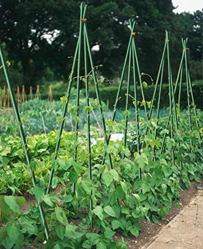 4ft Plant Stakes 50pack, 5/16 Inch Dia Garden Stakes, 48inch Garden Poles Tre...