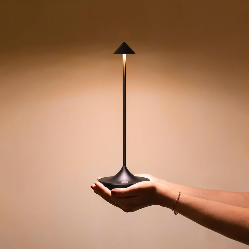 Cordless Rechargeable LED Table Lamp Set of 2, Black