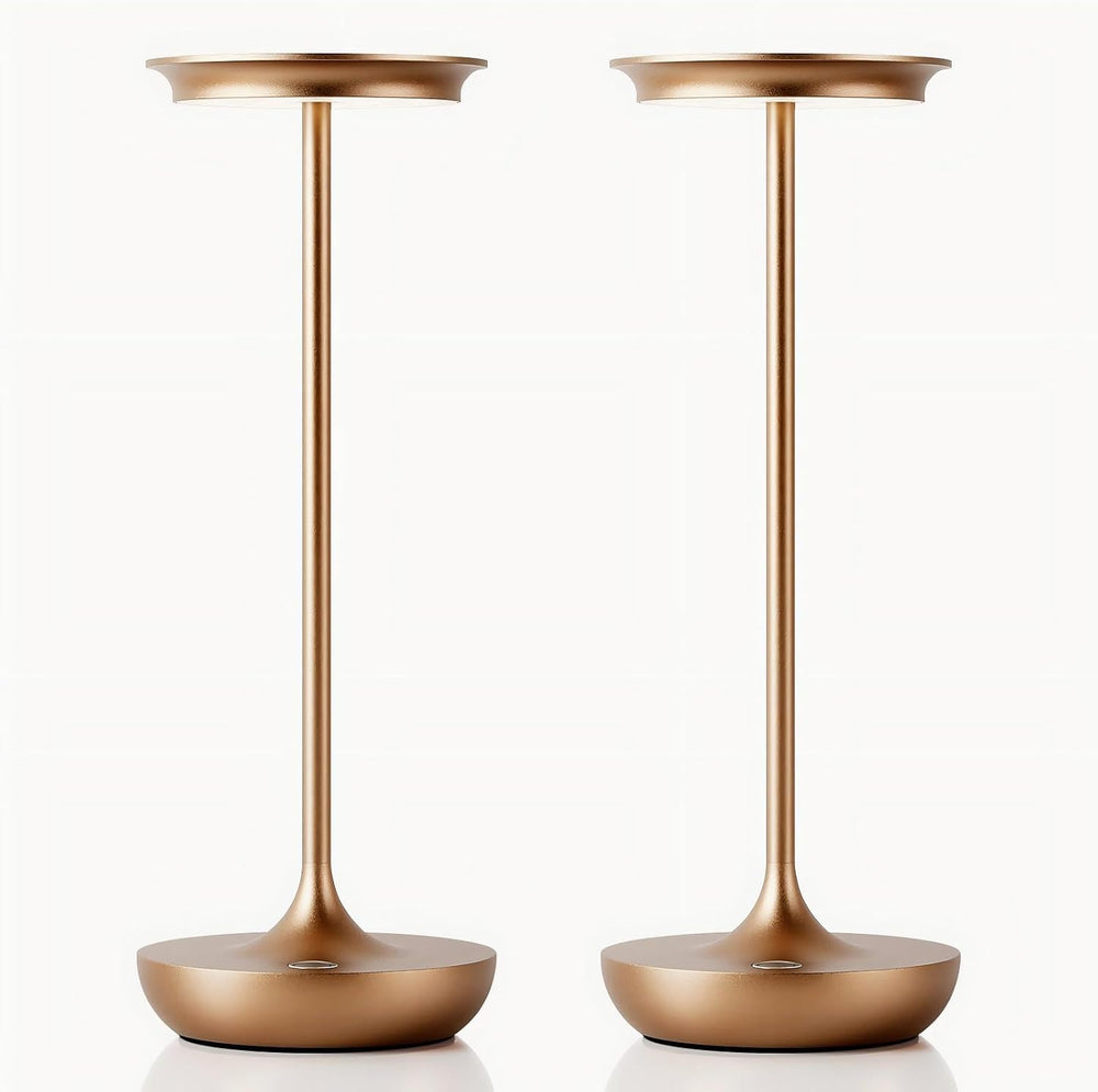 LED Rechargeable Cordless Table Lamp Battery Operated Light 2P Bronze