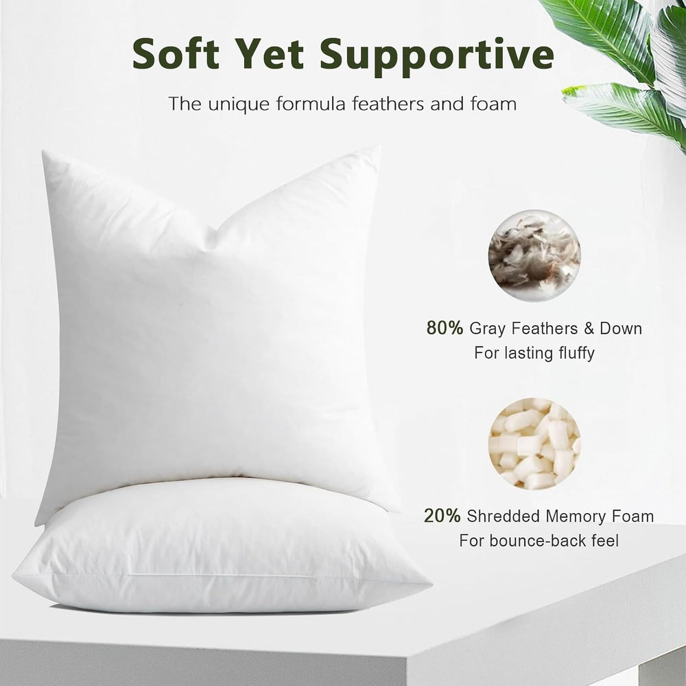 DWR Feather Down Throw Pillow Inserts with Organic Cotton, 20x20, Set of 2