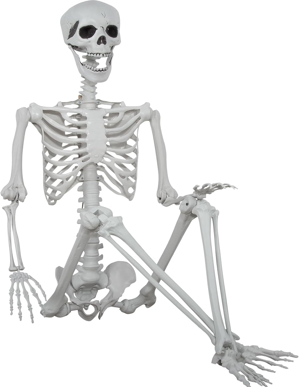 5.9ft Halloween Life Size Skeleton Realistic Full Body Skeletons Plastic Huma...