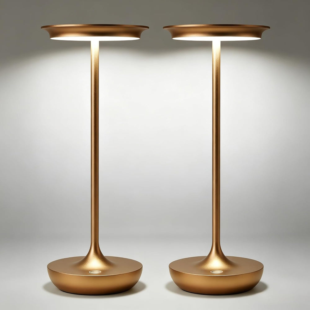 2 Pack LED Cordless Table Lamp 5000mAh Rechargeable Table Light