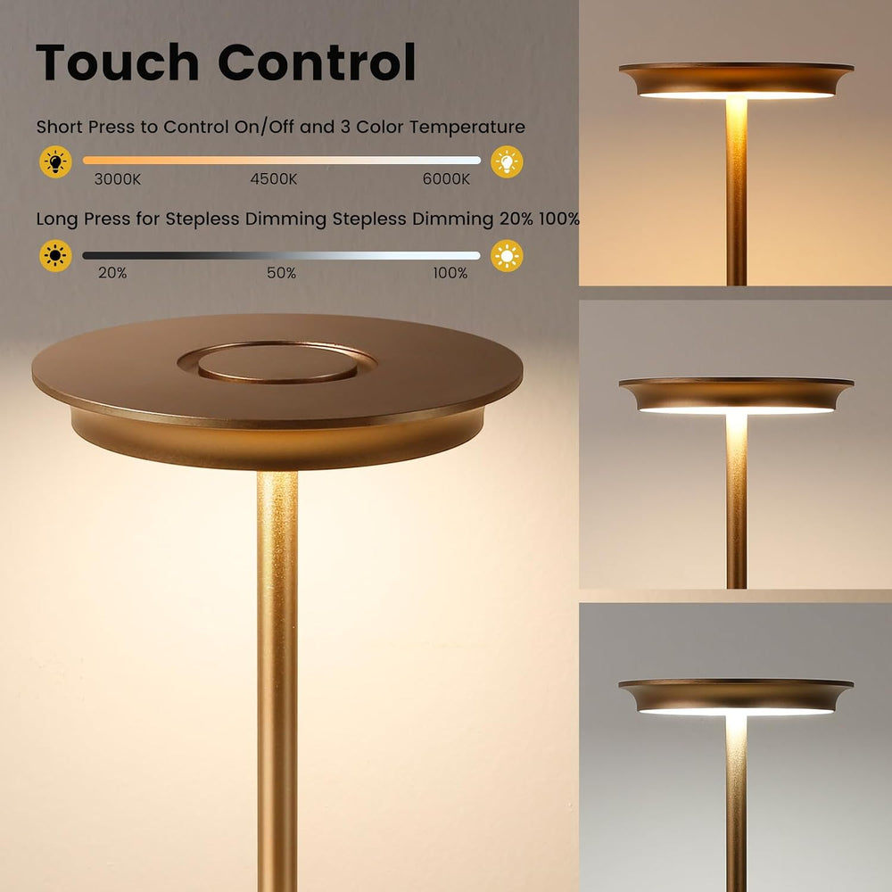 LED Rechargeable Cordless Table Lamp Battery Operated Light 2P Bronze