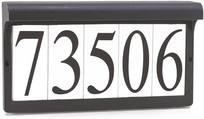 Generation Lighting 2-Light Aluminum Address Light Fixture in Black