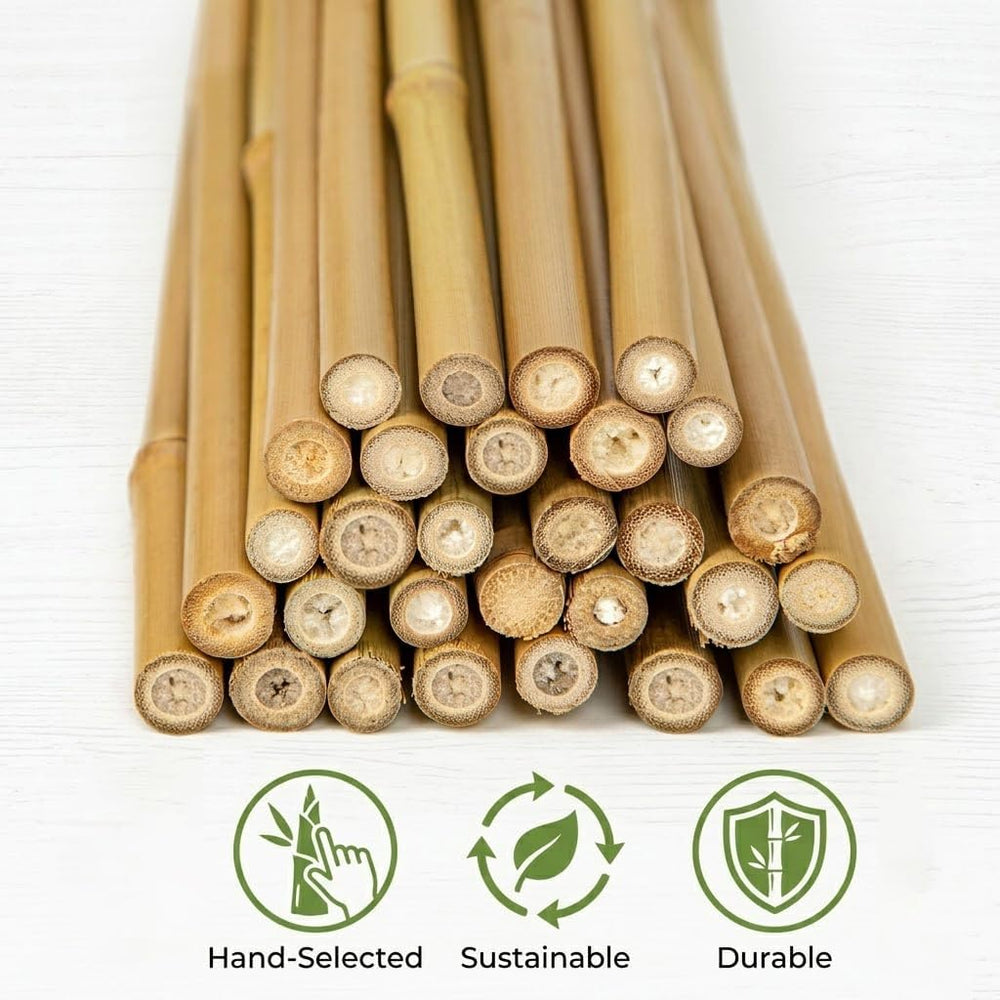 Plant Stakes Natural Bamboo Sticks - 30 Pcs Bamboo Garden Stakes for Plants 4...