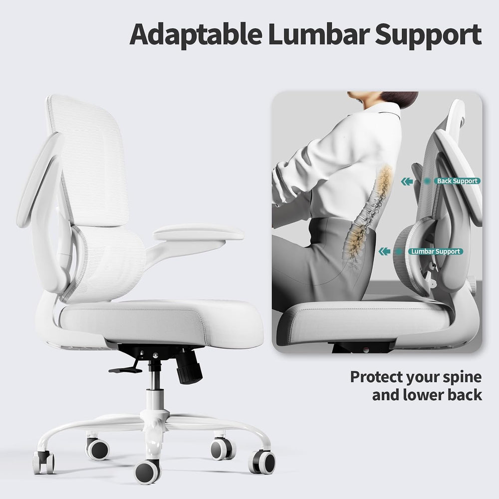 TRALT Office Chair - Ergonomic Desk Chair with Adjustable Lumbar Support, Mes...