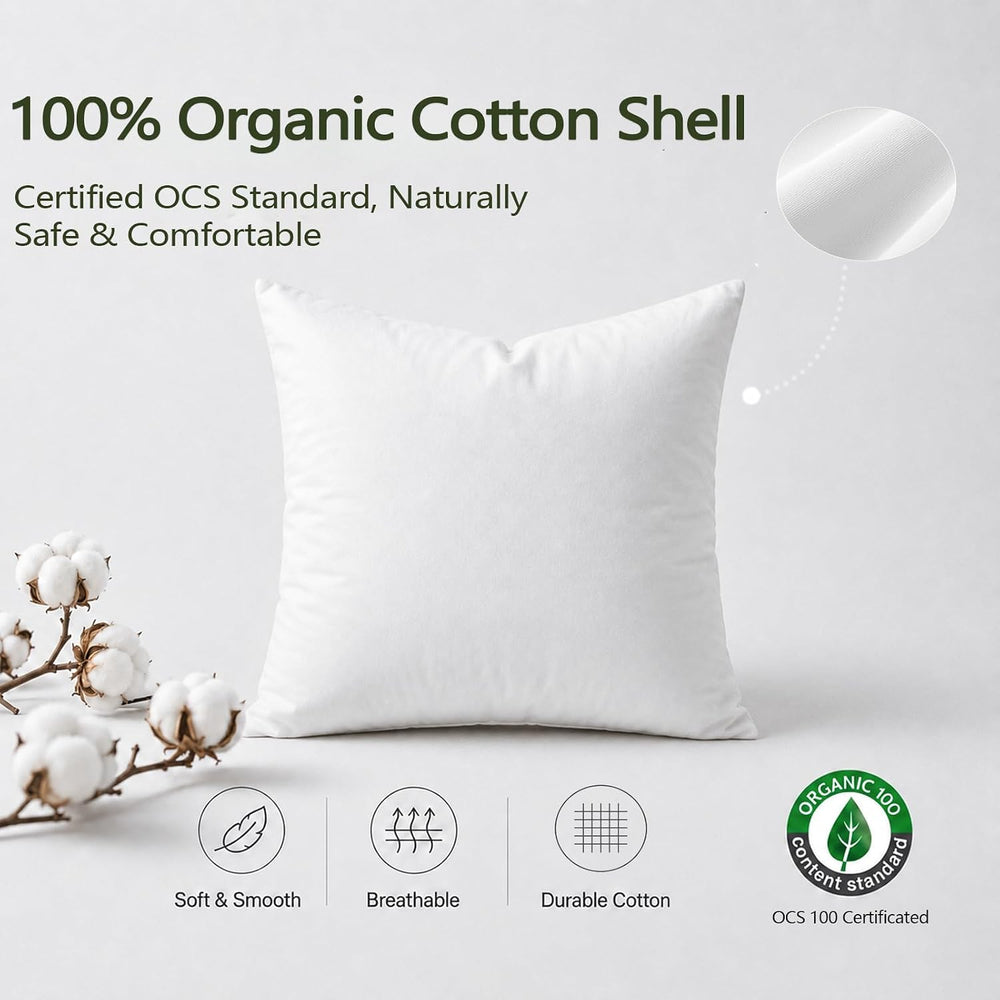 DWR Feather Down Throw Pillow Inserts with Organic Cotton, 20x20, Set of 2