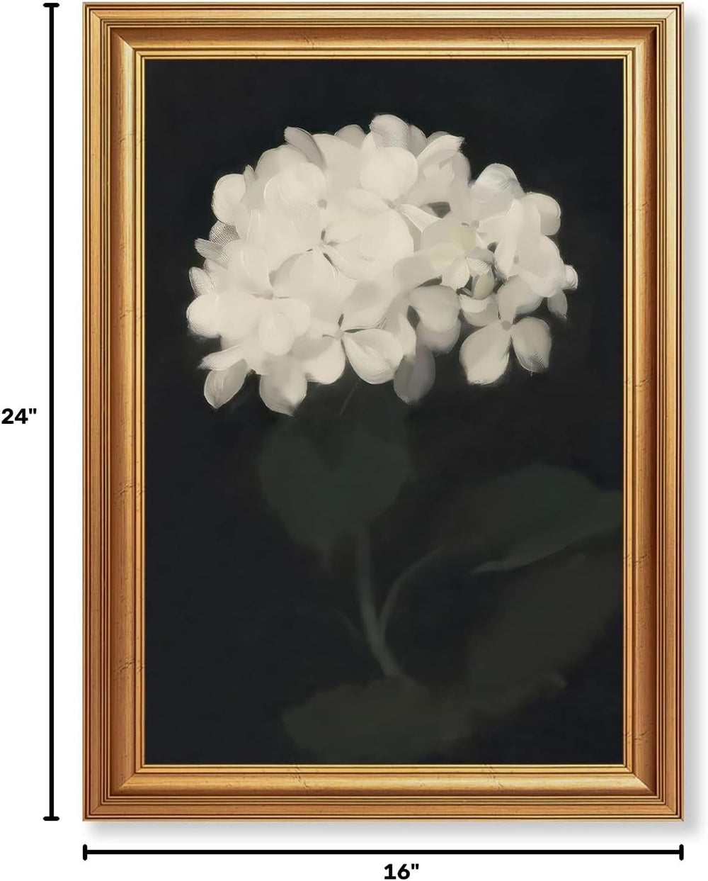 EJPFOGV White Hydrangea Framed Canvas wall art Black Background 16x24 inch