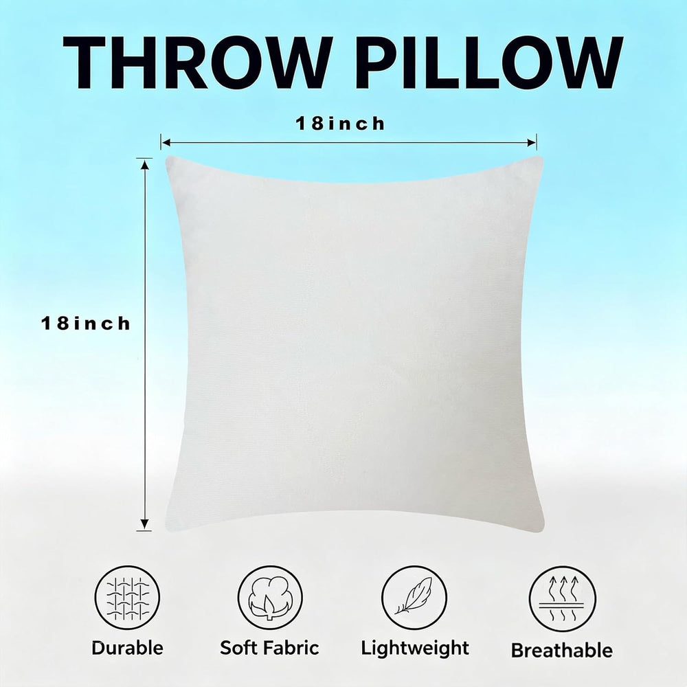 Set of 2 Velvet Throw Pillows with Inserts Included, 18x18 Cream