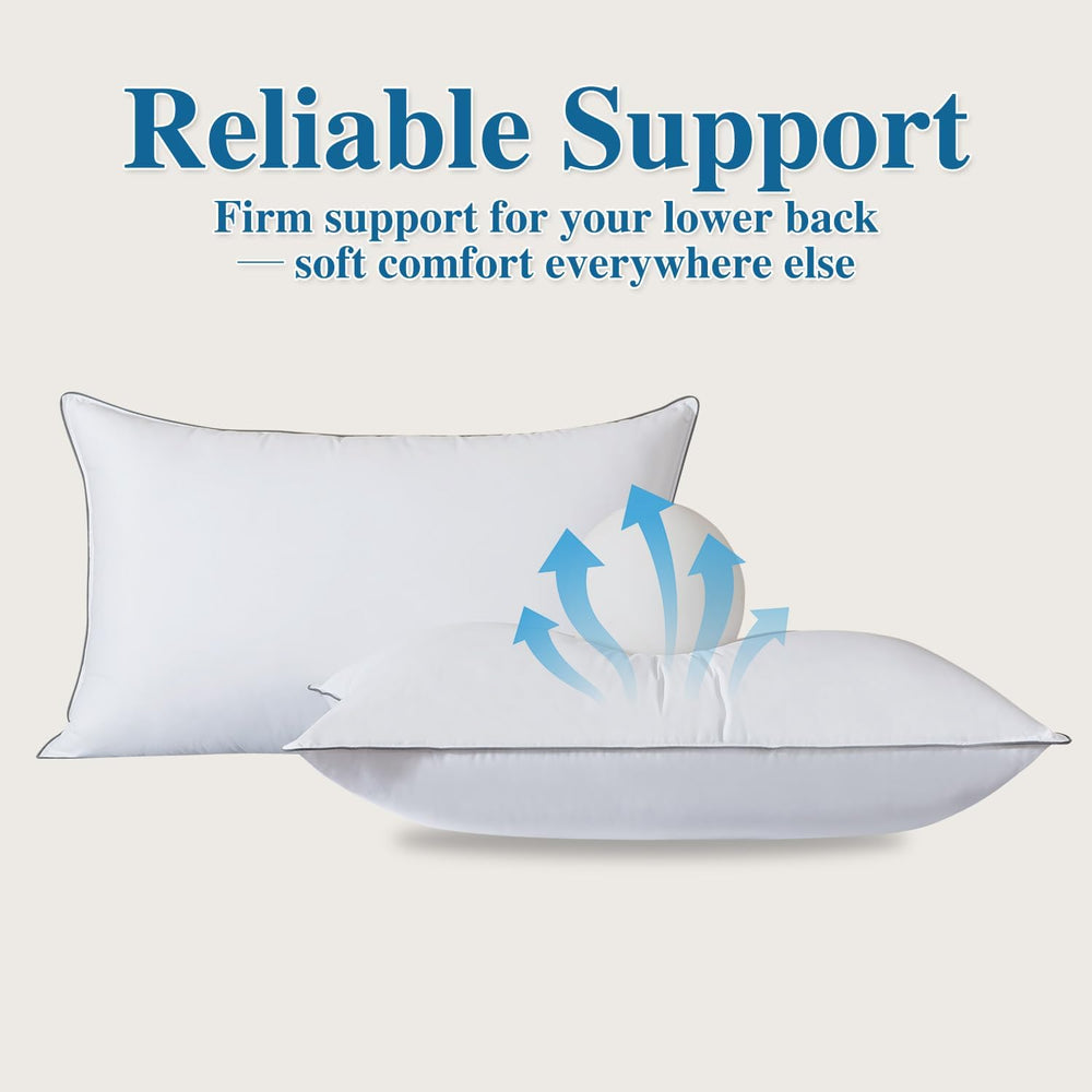 Goose Down Fiber Throw Pillow Insert Set of 2, 12x20