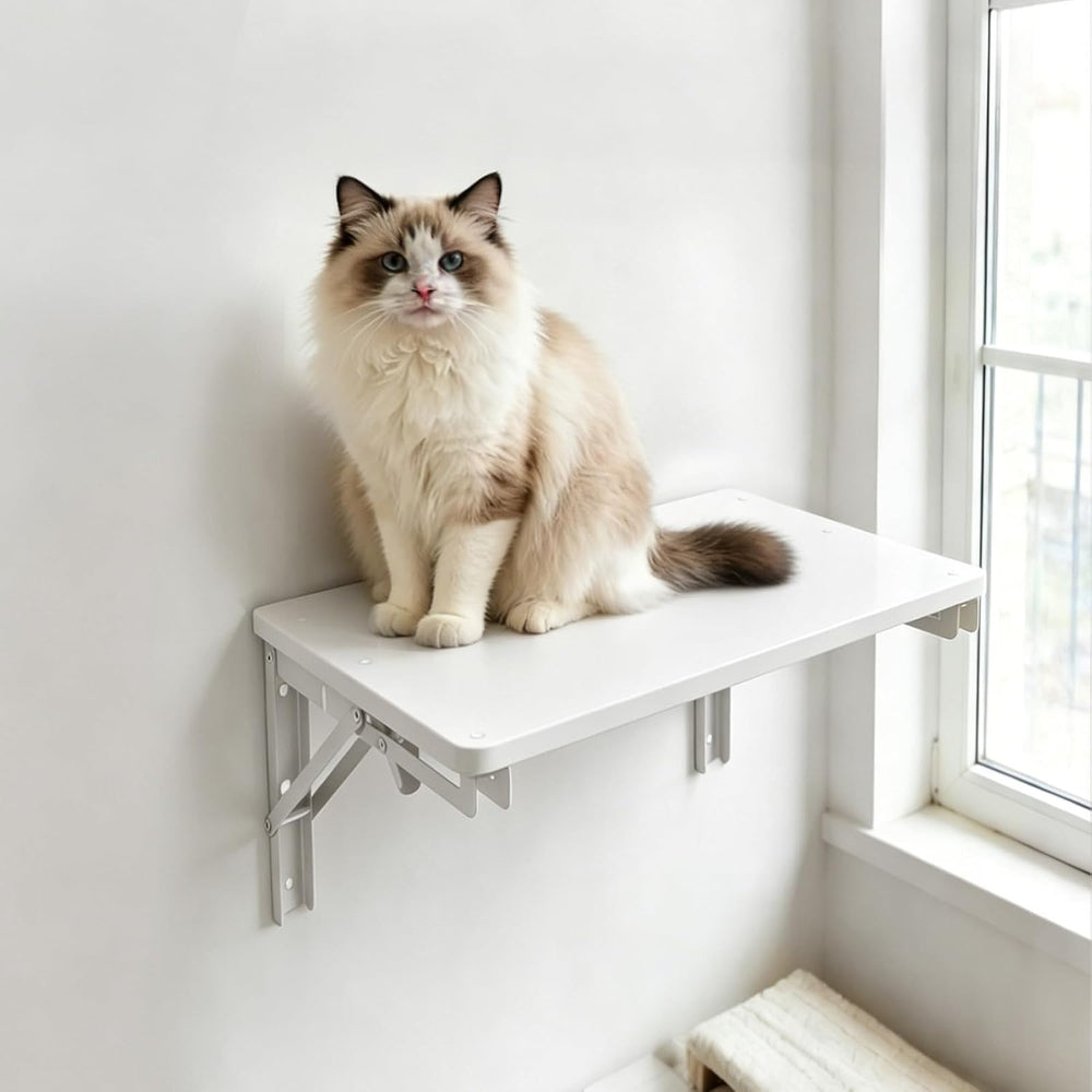 Folding Shelf Wall Mounted for Small Space,