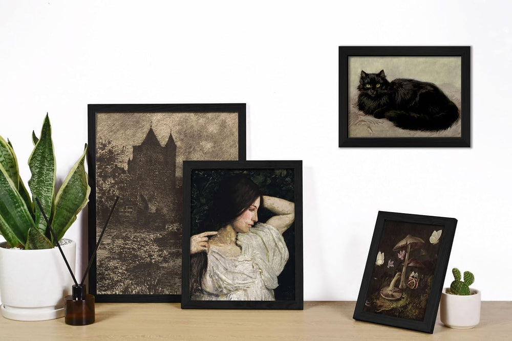 ANERZA 16 PCS Framed Dark Academia Room Decor, Gothic Home Decor, Moody Wall ...