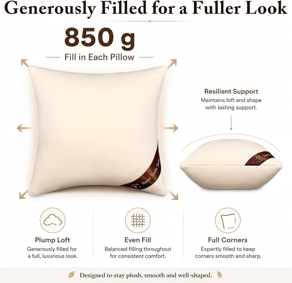 Throw Pillow Inserts 18x18, 2 Pack, Shredded Memory Foam for Couch