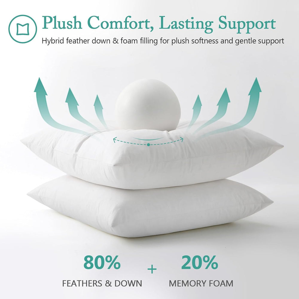 BPC Luxury Feather Down 20x20 Pillow Inserts Set of 2, Soft Fluffy Throw Pill...