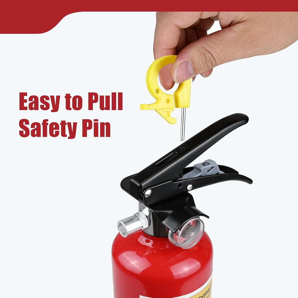 1 Pack 2.5 lb ABC Dry Chemical 1-A:10-B:C Fire Extinguishers