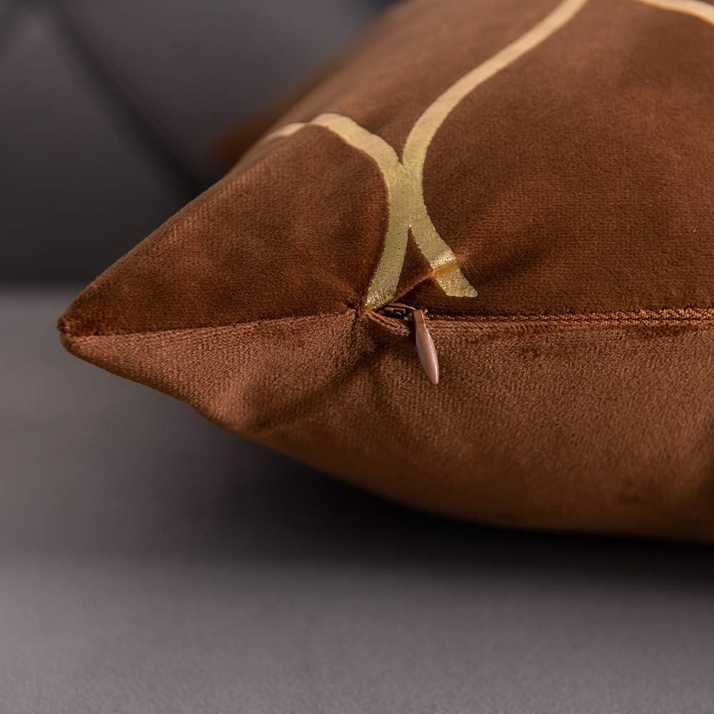 DEZENE Gold Velvet Throw Pillow Covers: 2 Pack 24x24 Inch Square Decorative P...