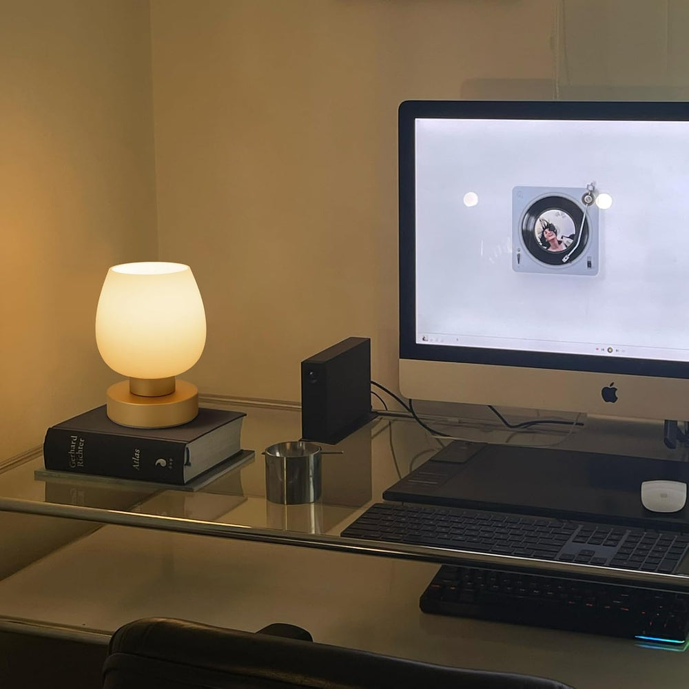Touch Bedside Table Lamp - Desert Titanium Color Glass Lamp Shade, Warm LED B...