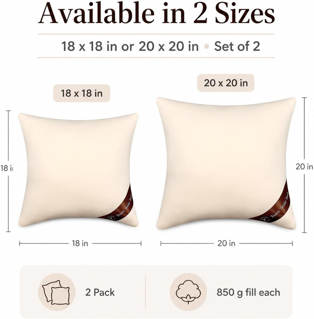 Throw Pillow Inserts 18x18, 2 Pack, Shredded Memory Foam for Couch