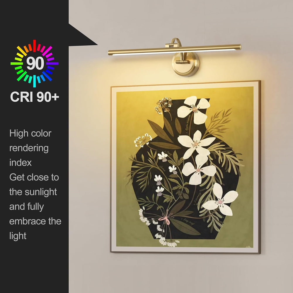 Tassuowell Hardwired Picture Ligh (Brass Hardwired, 23.62 inch Dimmable)