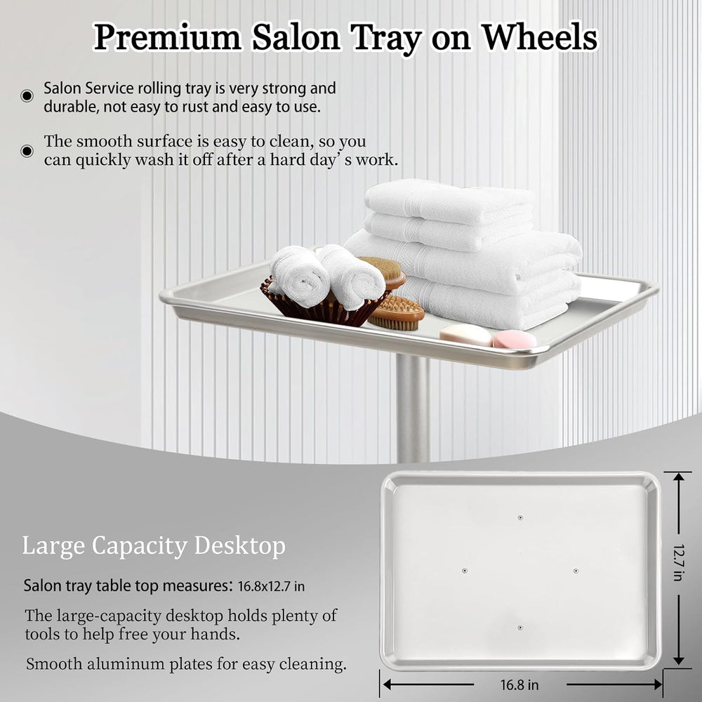 Salon Señor Salon Tray Cart,TattooTray on Wheels,Hair Color Tray,Silver