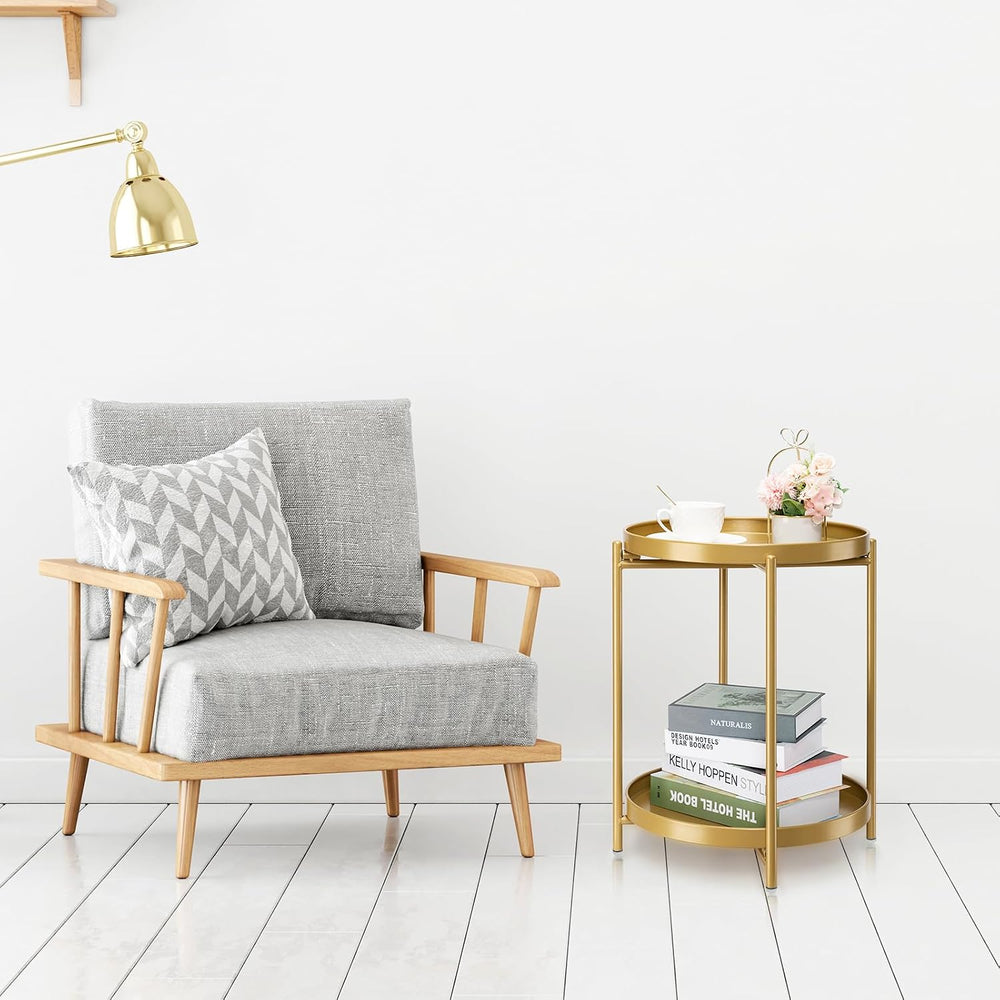 danpinera 2 Tier End Table, Metal Round Side Table with Removable Tray