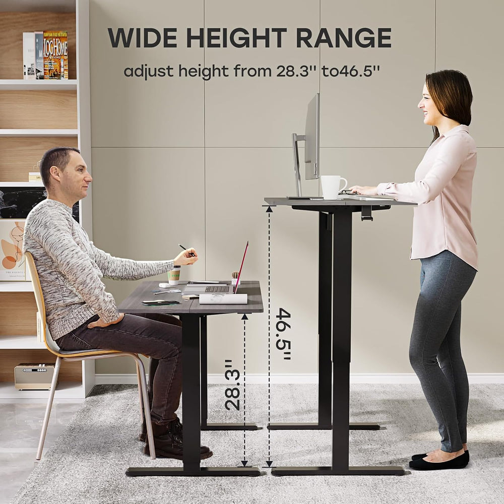 Electric Standing Desk, 48×24 Inch Home Office Desk, Grey