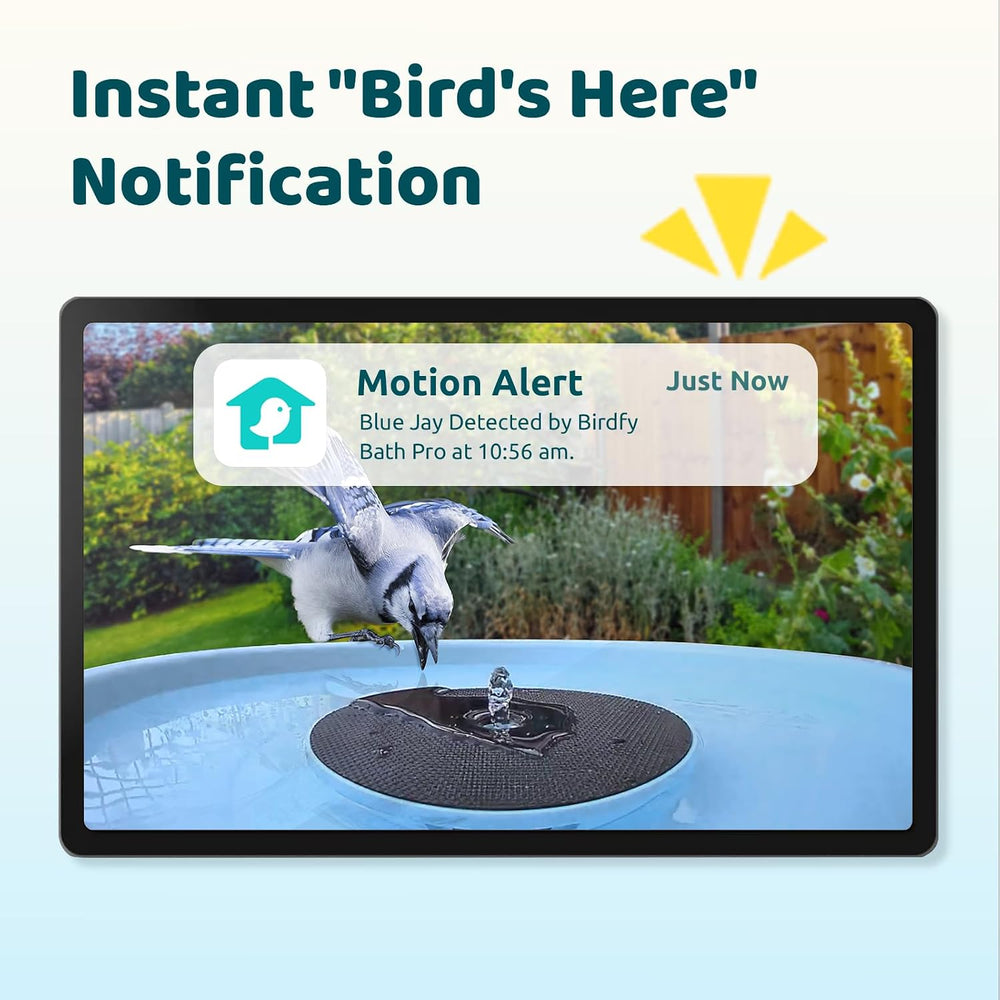 Birdfy Smart Bird Bath with Camera, Solar Powered, Dual-Lens 2K AI Camera
