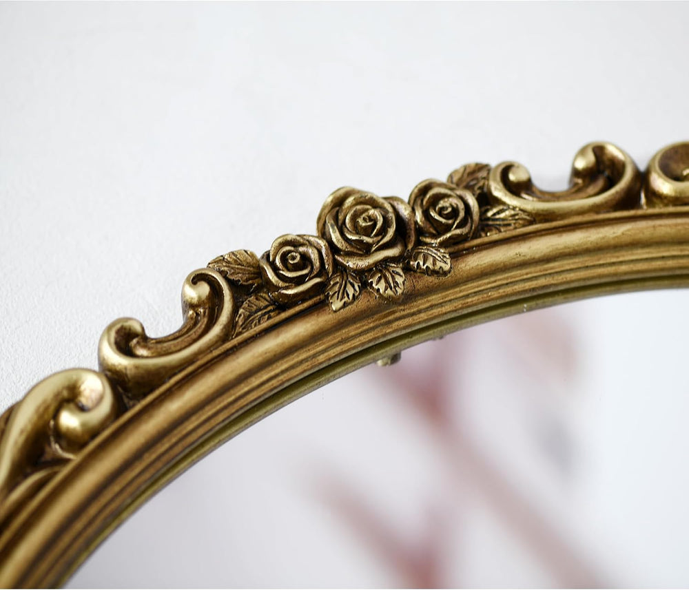 OIGUMR Medium Oval Wall Mirror Resin Frame Size:20.4 x 14.5 inch