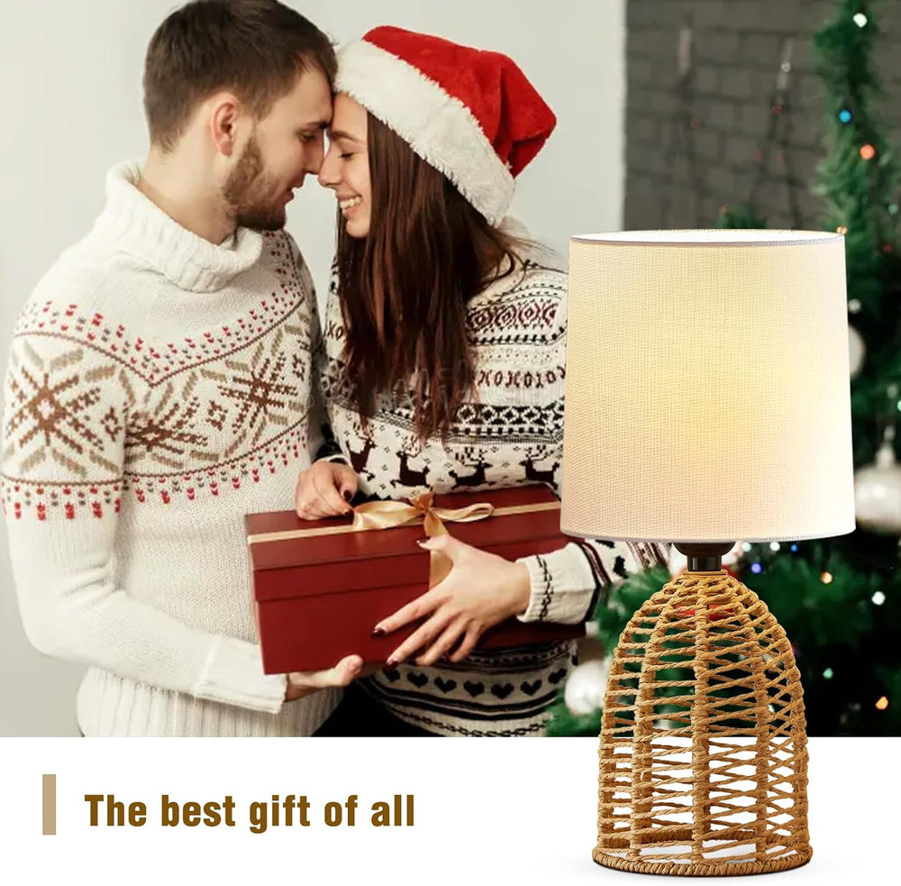 EJIAXIN Rattan Lamp Boho Lamps Set of 2-13.75" Mini Farmhouse Table Lamp...