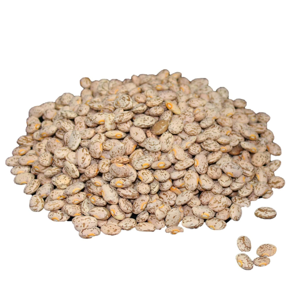 Wheatland™ Pinto Beans • Farm Fresh • Mylar, Oxygen Absorber & Bucket pro...