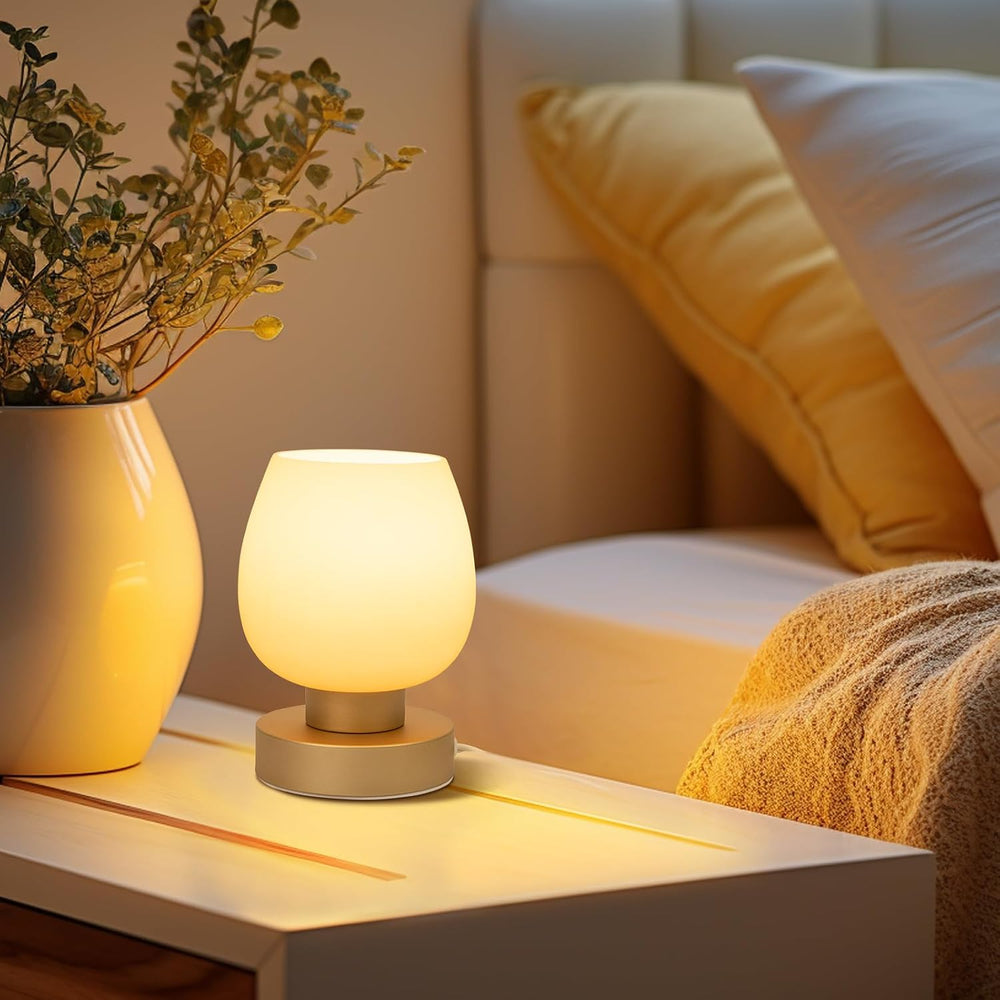 Touch Bedside Table Lamp - Desert Titanium Color Glass Lamp Shade, Warm LED B...