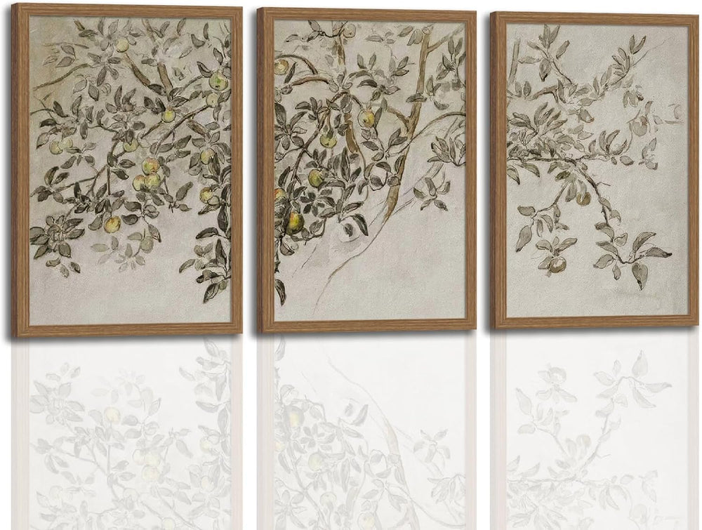 3Pcs Vintage Botanical Sketch Wall Art Neutral Farmhouse Apple Tree Prints