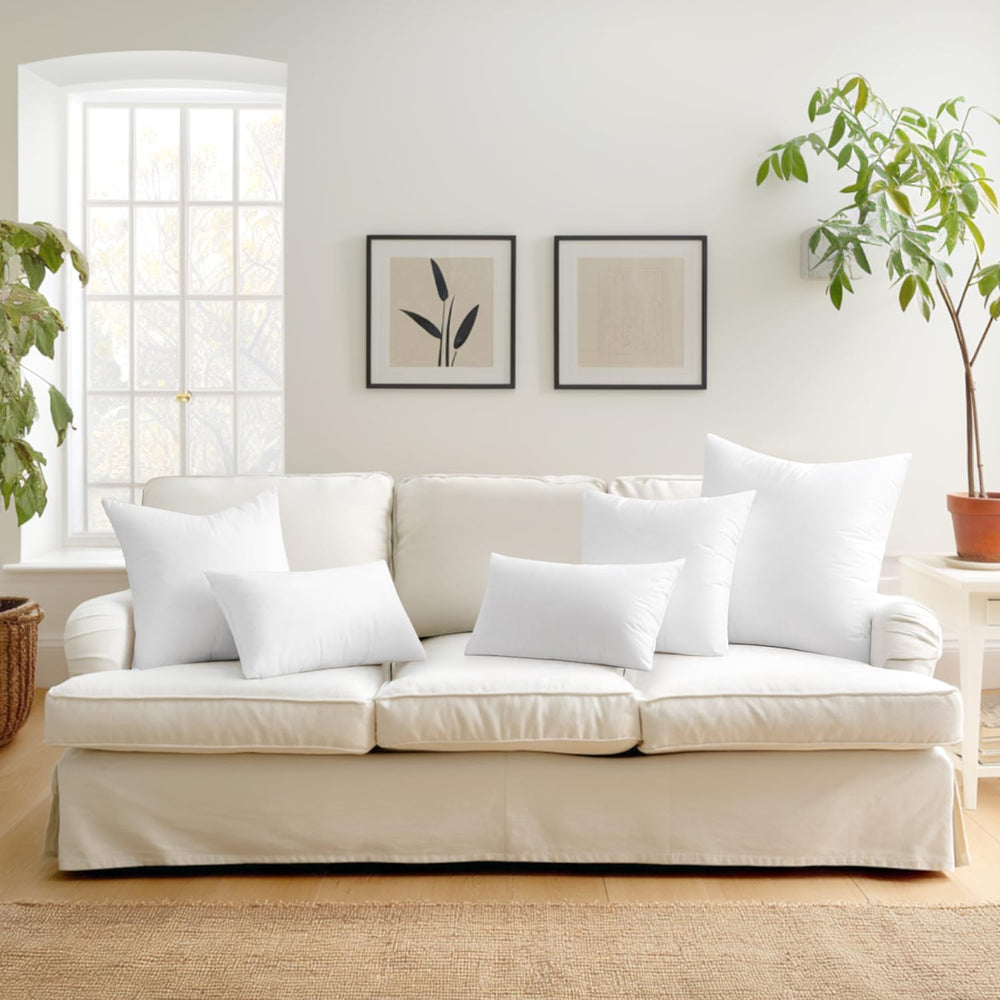 MIULEE Set of 2 Throw Pillow Inserts 24x24 Inches with 100% Virgin Filling
