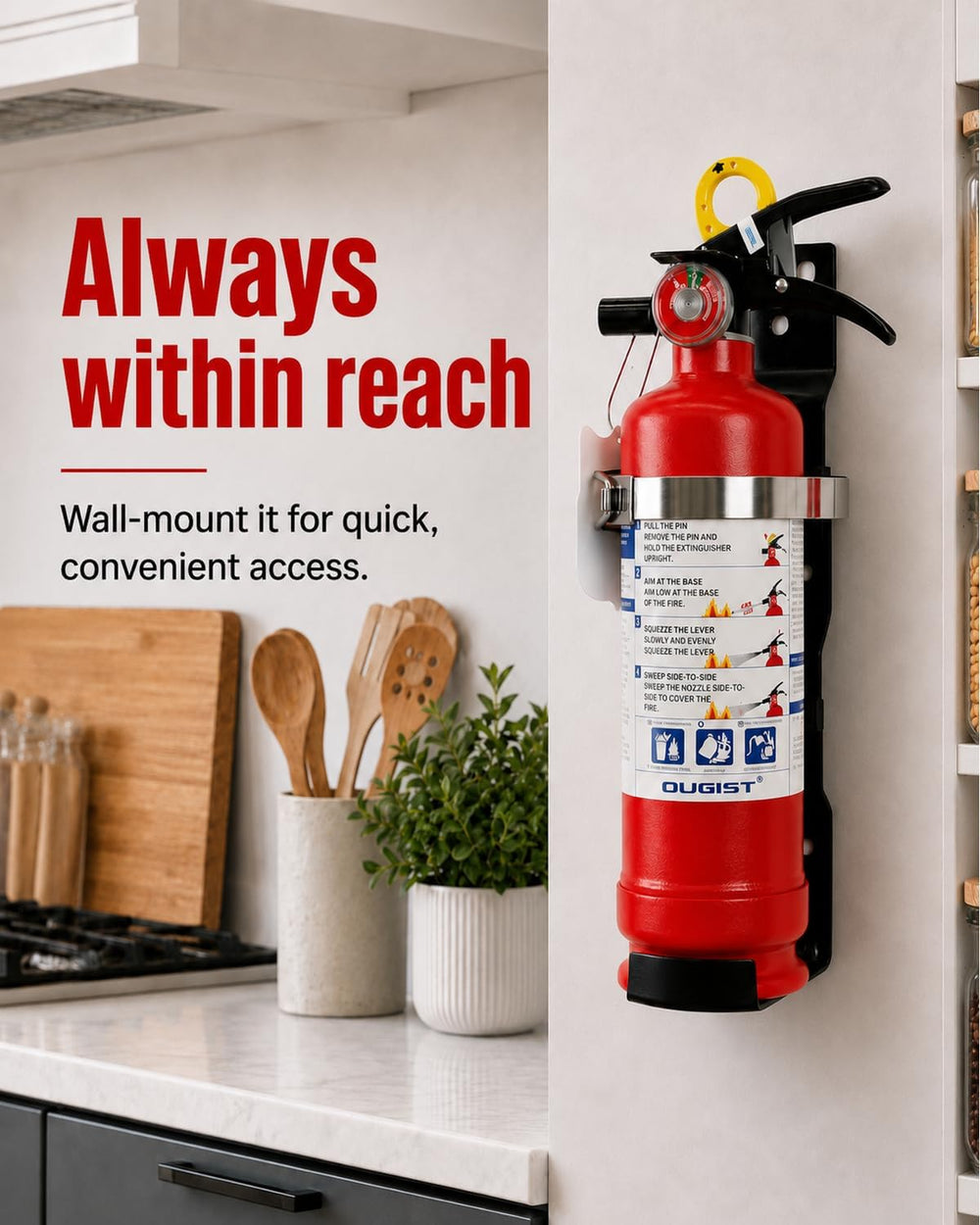 Ougist ABC Dry Chemical Fire Extinguisher with Wall Mount, 2.5 lb Agent