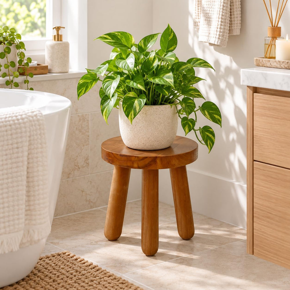 12" Teak Wood Plant Stool for Indoor Plants, Mid-Century Style