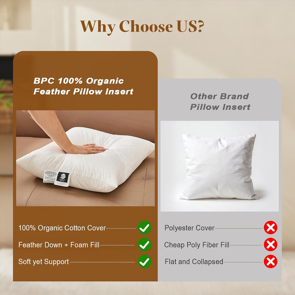 BPC 16x16 Down Feather Throw Pillow Inserts Set of 2, 100% Organic Cotton Cov...