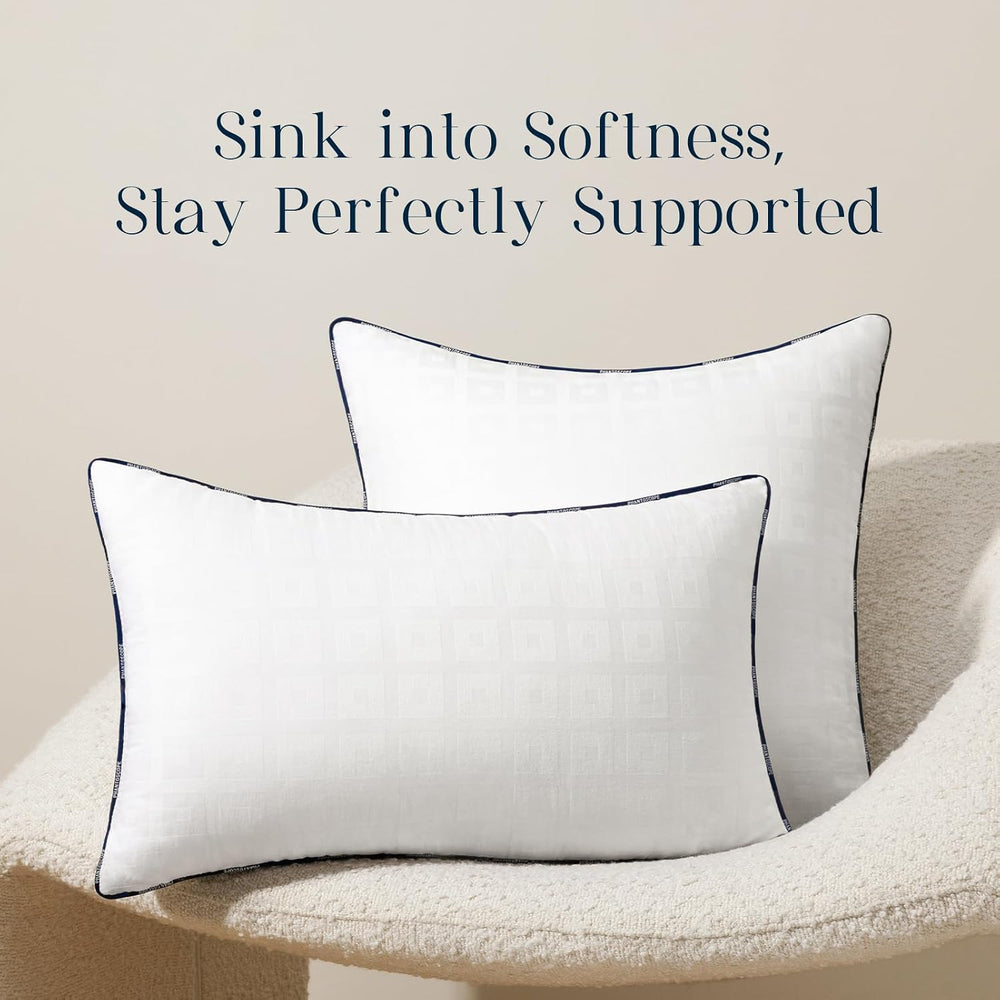 Phantoscope Throw Pillow Inserts with 100% Cotton Cover, 20x20 Inch, 2 Pack