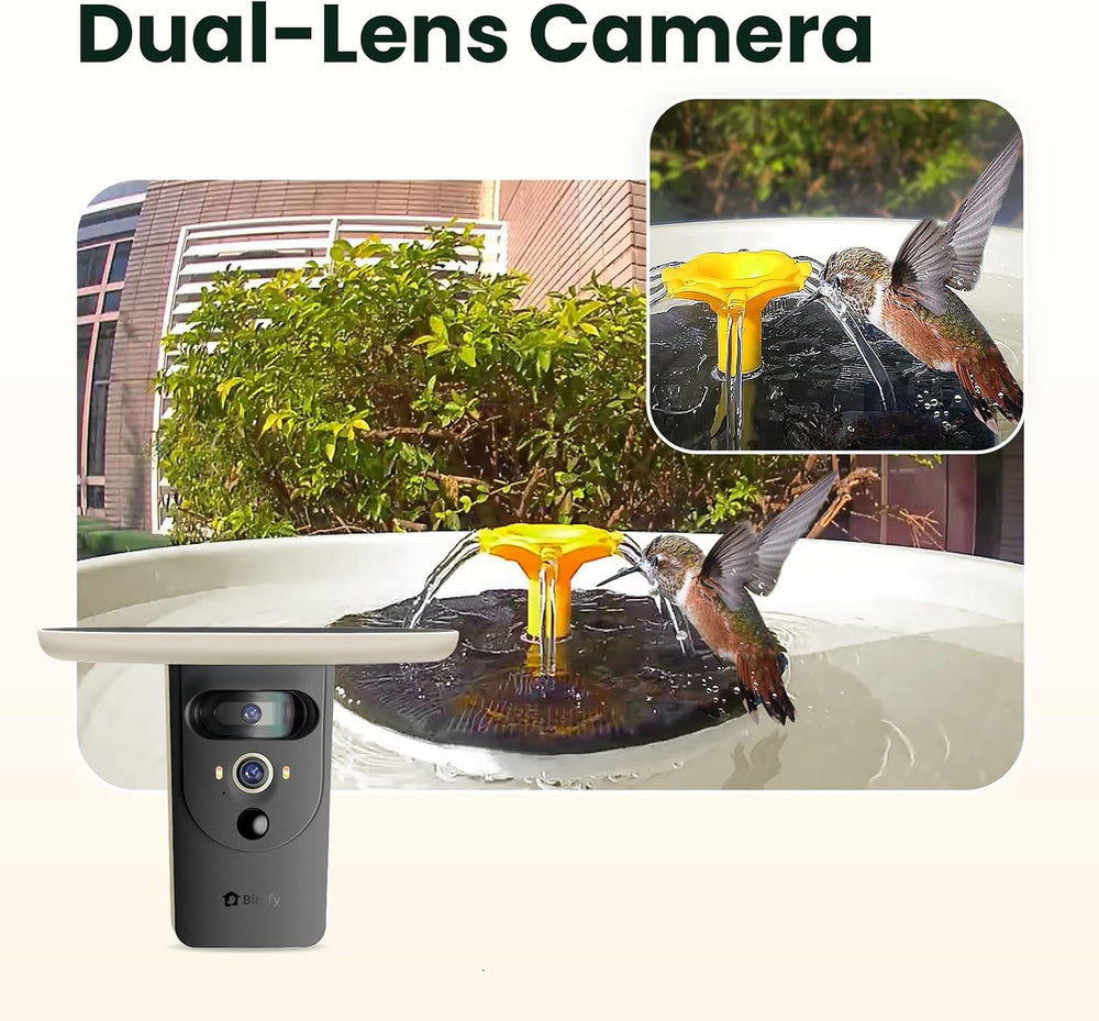 Birdfy Smart Bird Bath with Camera, Solar Powered & Fountain, 2K AI Camera
