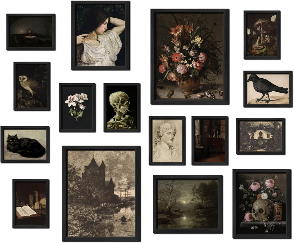 ANERZA 16 PCS Framed Dark Academia Room Decor, Gothic Home Decor, Moody Wall ...