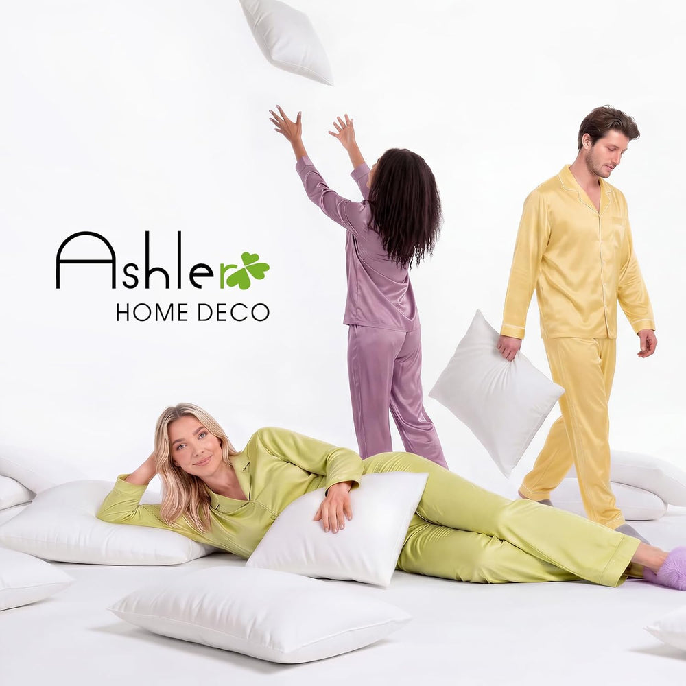 Ashler 20x20 Pillow Inserts, Set of 4