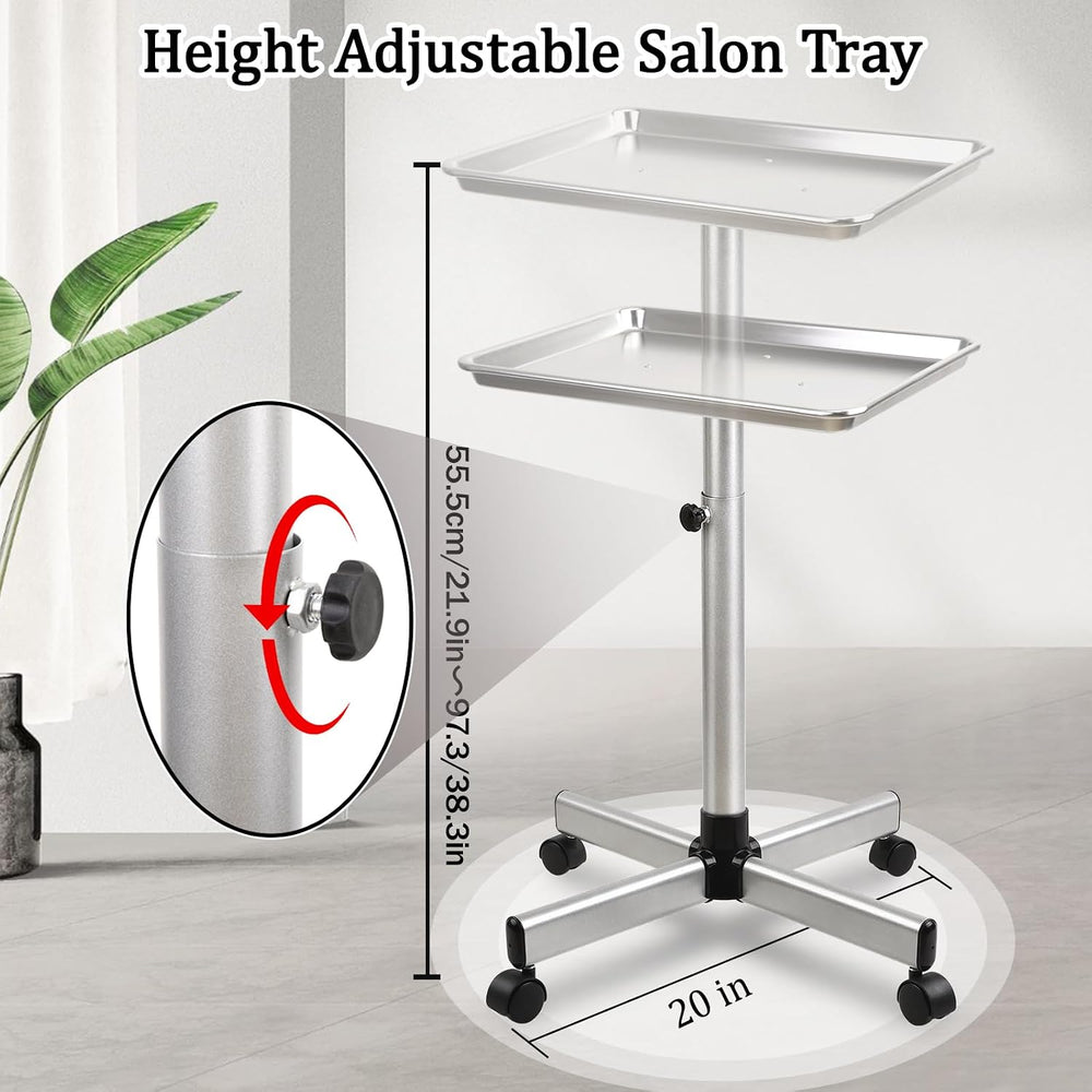 Salon Señor Salon Tray Cart,TattooTray on Wheels,Hair Color Tray,Silver