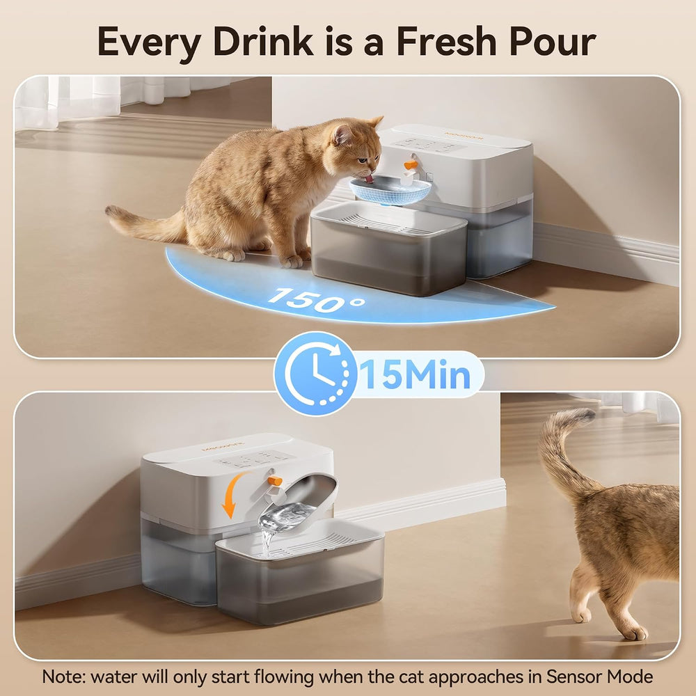 Meowant Cat Water Fountain Filterless Wastewater Separation, Sensor Mode