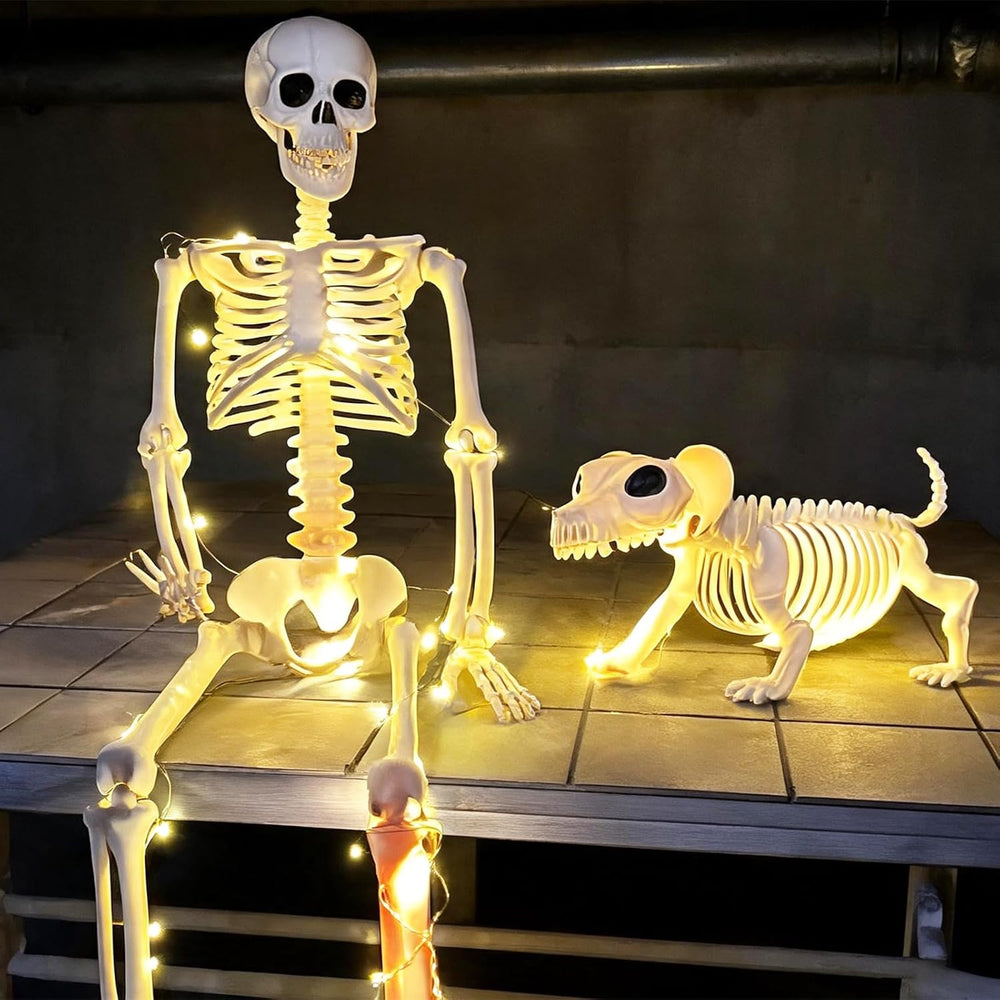 Lighted Human & Dog Skeleton Halloween Decorations Outdoor/Indoor